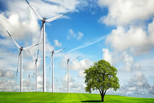 Дългосрочна програма за насърчаване на използването на енергия от (ВЕИ) и биогорива 2020-2030 г.
