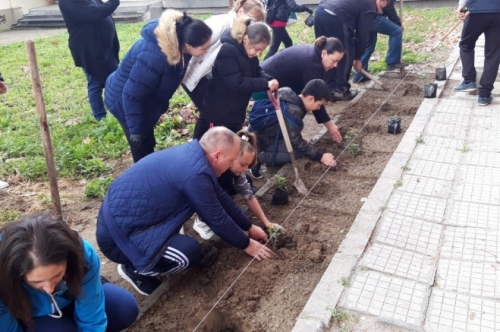 Третокласниците от  СУ ,,Проф. д-р Асен Златаров” в акция по облагородяване на училищния двор