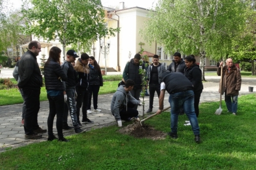 Залесяване в градския парк