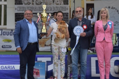 Киноложка изложба THE DOG SHOW – Първомай 2019