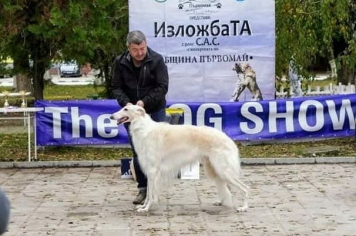 Киноложка изложба The dog show – Първомай 2021