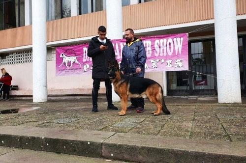 Киноложка изложба The dog show – Първомай 2021