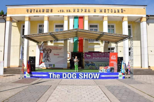 Специализирана изложба за далматини с международно участие Dalmatian Dog Show 2022