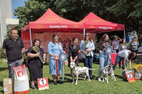 Специализирана изложба за далматини с международно участие Dalmatian Dog Show 2023