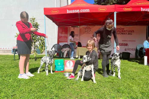 Специализирана изложба за далматини с международно участие Dalmatian Dog Show 2023