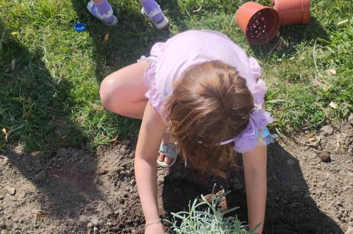 „Пъстро цветно утро“ – ден на природа и вдъхновение в ДГ „Пролет“