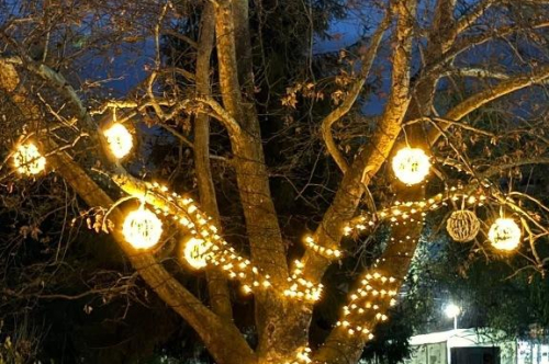 Грейнаха светлините на Коледната елха и украсата в града 