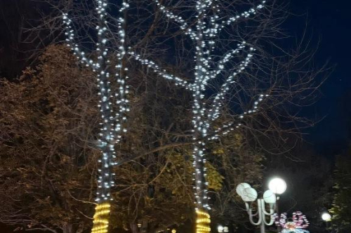 Грейнаха светлините на Коледната елха и украсата в града 