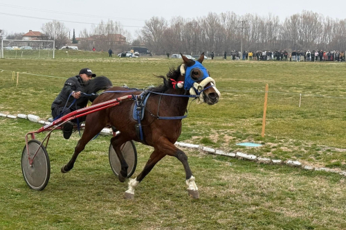 Тодоровден в кв. Дебър