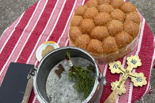 Тодоровден в кв. Дебър