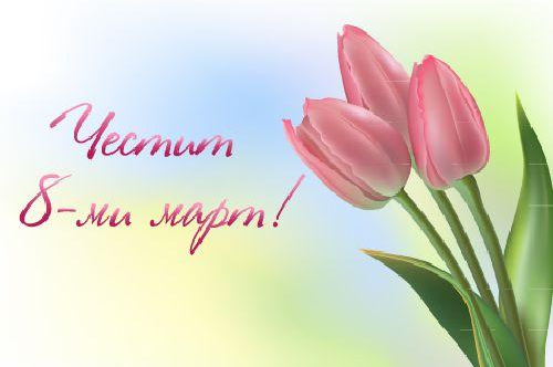 ПОЗДРАВИТЕЛЕН АДРЕС НА КМЕТА НА ОБЩИНА ПЪРВОМАЙ ПО СЛУЧАЙ 8 МАРТ 2026 – МЕЖДУНАРОДНИЯ ДЕН НА ЖЕНАТА