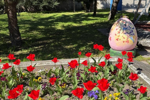 ВЕЛИКДЕНСКА УКРАСА И ПРОЛЕТНИ ЦВЕТЯ ГРЕЙНАХА В ЦЕНТЪРА НА ГРАДА