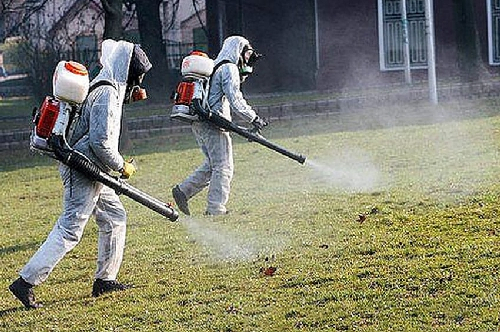 Община Първомай уведомява всички граждани и пчелари, че на 08.04.2026 г. ще се извърши третиране срещу кърлежи, бълхи и комари