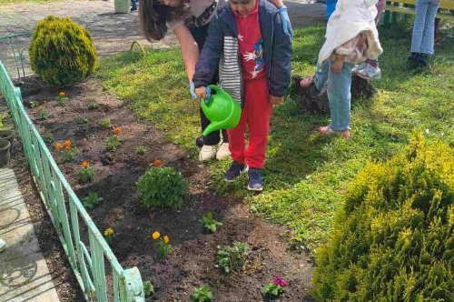 Засаждане на пролетни цветя по случай Деня на Земята