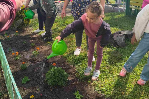 Засаждане на пролетни цветя по случай Деня на Земята
