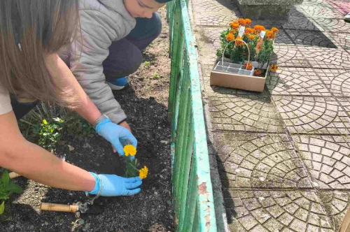 Засаждане на пролетни цветя по случай Деня на Земята